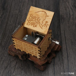 Beauty and the Beast Music Box by Boxedtune Free Shipping Worldwide